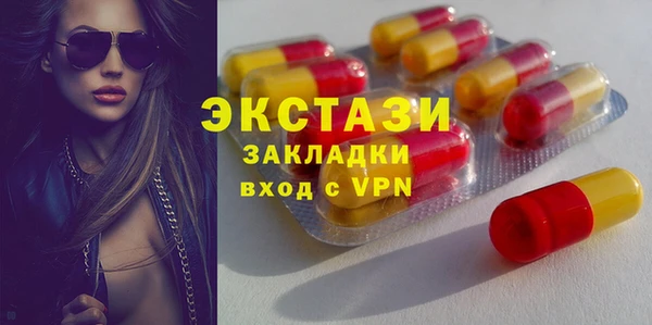 крисы Краснослободск
