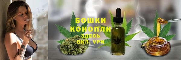 spice Медвежьегорск
