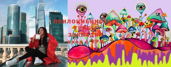 ГАЛЛЮЦИНОГЕННЫЕ ГРИБЫ Михайловск