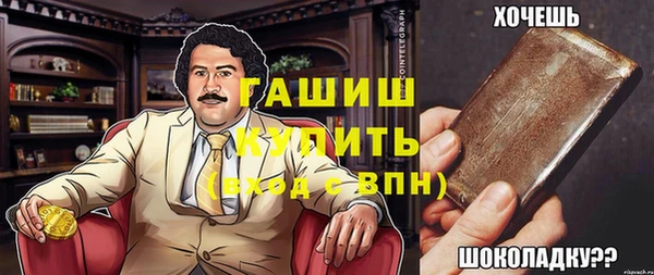 индика Новодвинск
