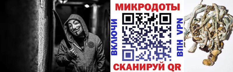 это клад  Елец  Галлюциногенные грибы GOLDEN TEACHER  omg рабочий сайт 