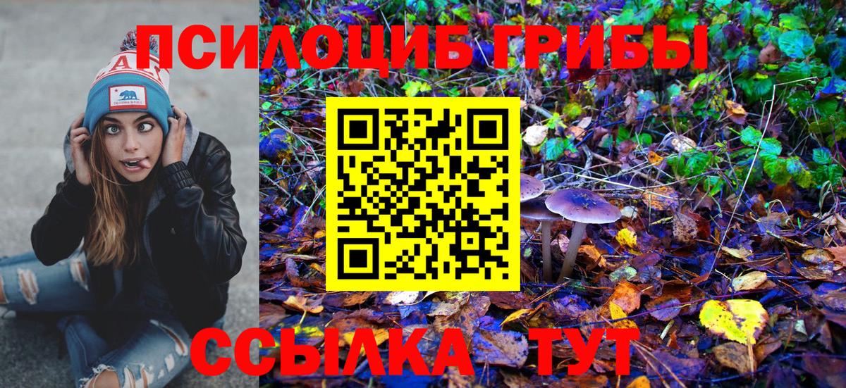 где продают наркотики  Елец  Галлюциногенные грибы Magic Shrooms 