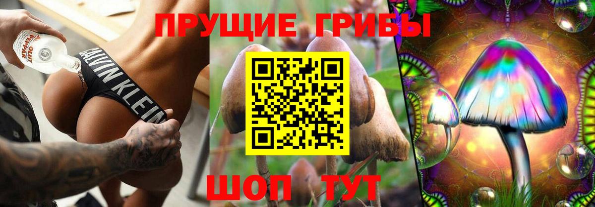 Галлюциногенные грибы Psilocybe Елец