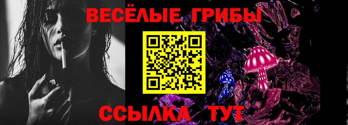 Галлюциногенные грибы Psilocybe  Псилоцибиновые грибы Psilocybine cubensis  Вход с VPN  Елец 